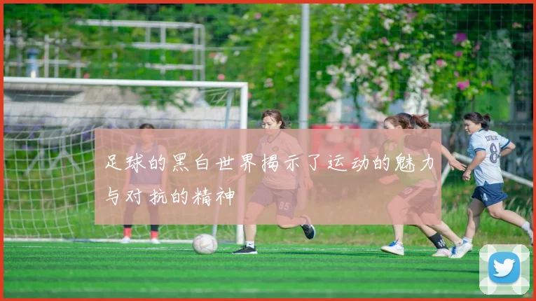 足球的黑白世界揭示了运动的魅力与对抗的精神