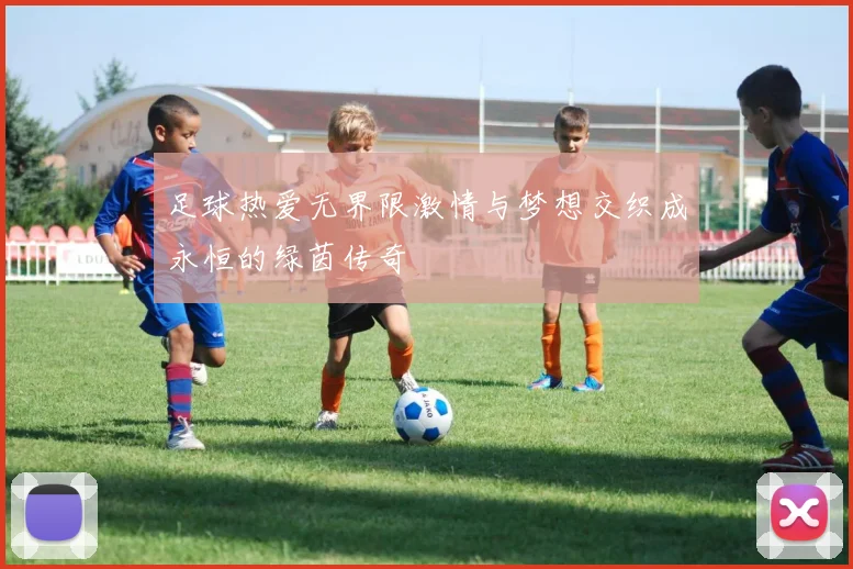 足球热爱无界限激情与梦想交织成永恒的绿茵传奇